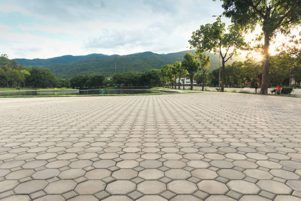 Best Driveway Paving Contractor  in Newport, TN