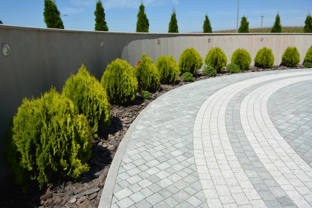 Best Driveway Resurfacing Pavers  in Newport, TN